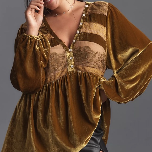 Anthropologie Tops - NWT Anthropologie Long-Sleeve Velvet Lace Babydoll Top